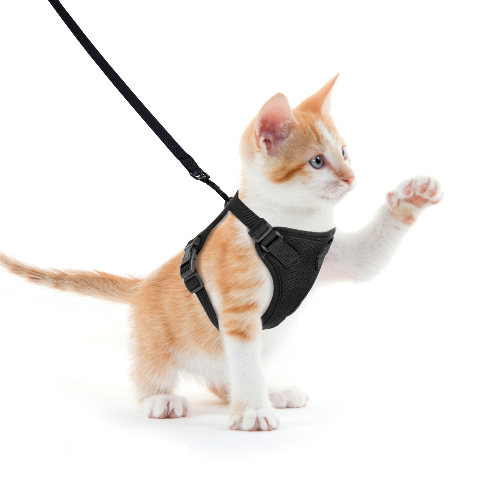 Coleira Nobleza à prova de fugas e ajustável para gatos, com guia de 150 cm, para gatos de pequeno, médio e grande porte, gatinhos, cachorros e coelhos, com faixa refletora, tamanho M.