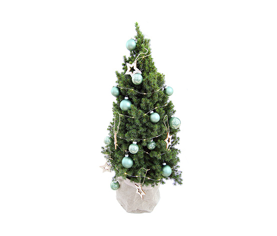 Echtes Weihnachtsbäumchen mit Dekoration, ca. 80 cm, grün