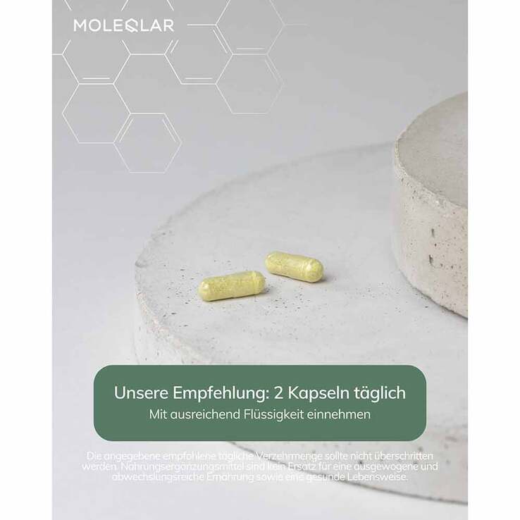 Moleqlar Quercesome Quercetin-C-Complex Kapseln, 60 St