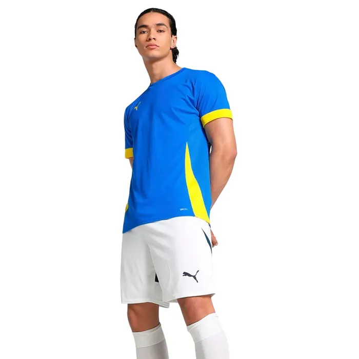 Puma TeamGOAL Matchday Shirt Heren