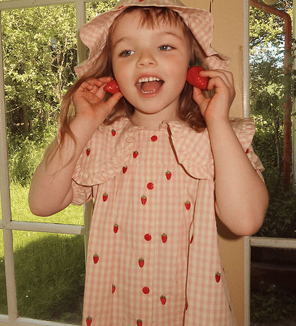 Flöss Kleid - Puppe - Pink Berry Gingham