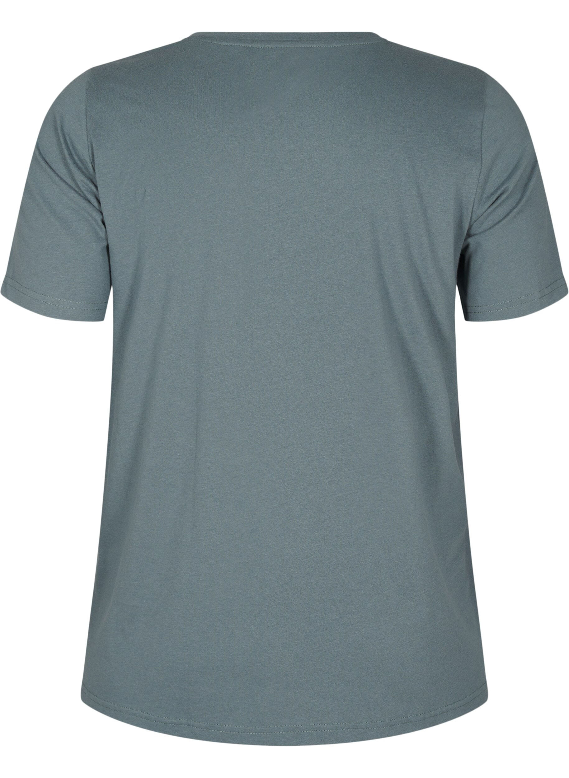 FLASH - T-shirt med motiv
