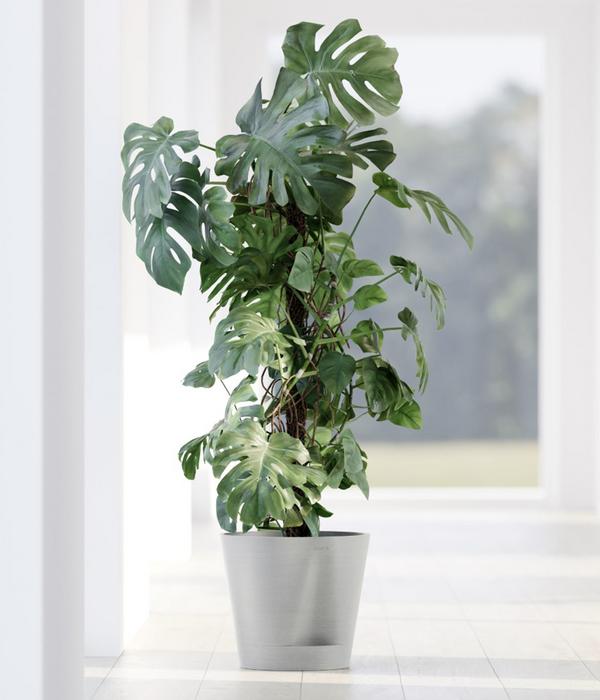 Ecopots Kunststoff-Topf Venice 2, rund