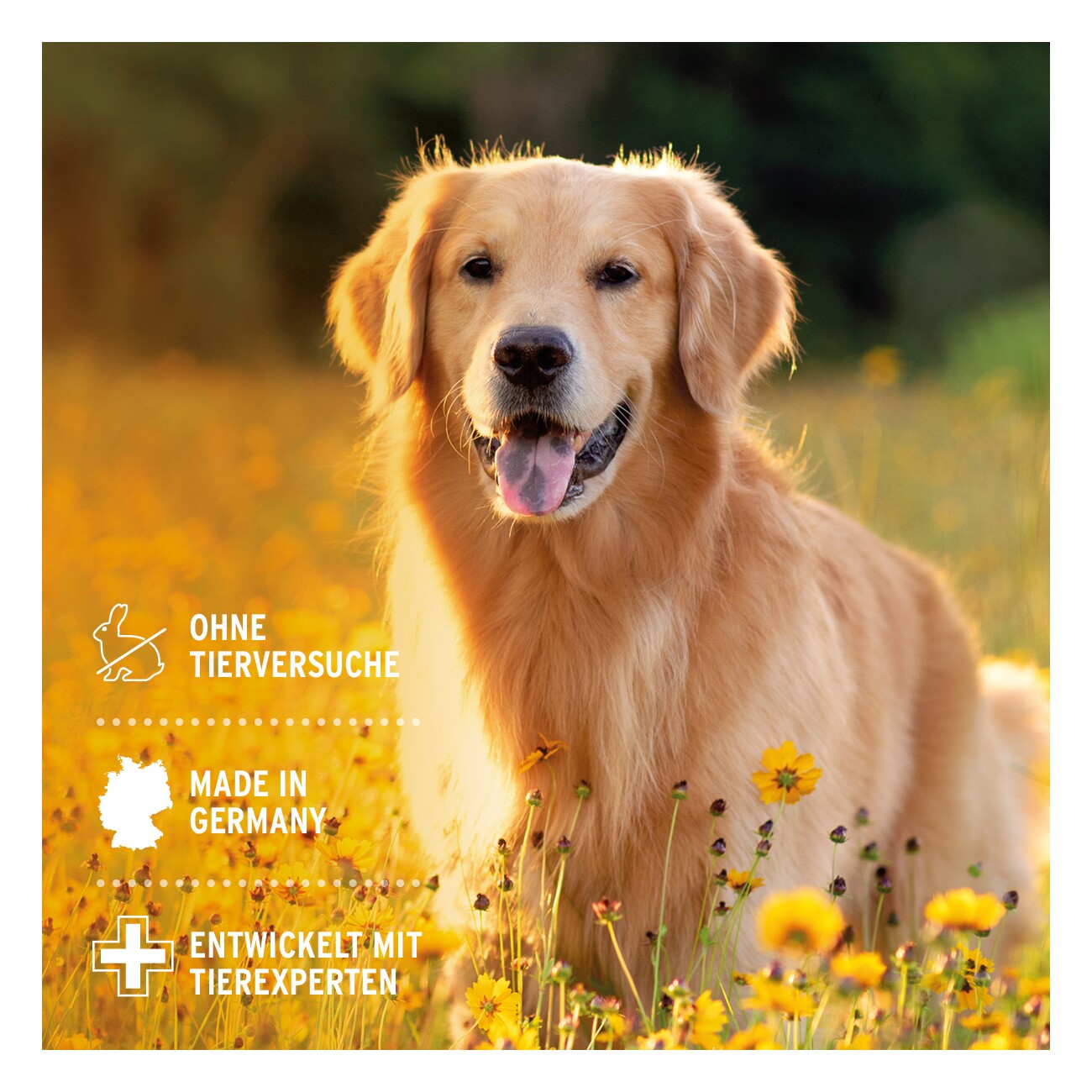 AniForte VET Ohrentropfen 50ml