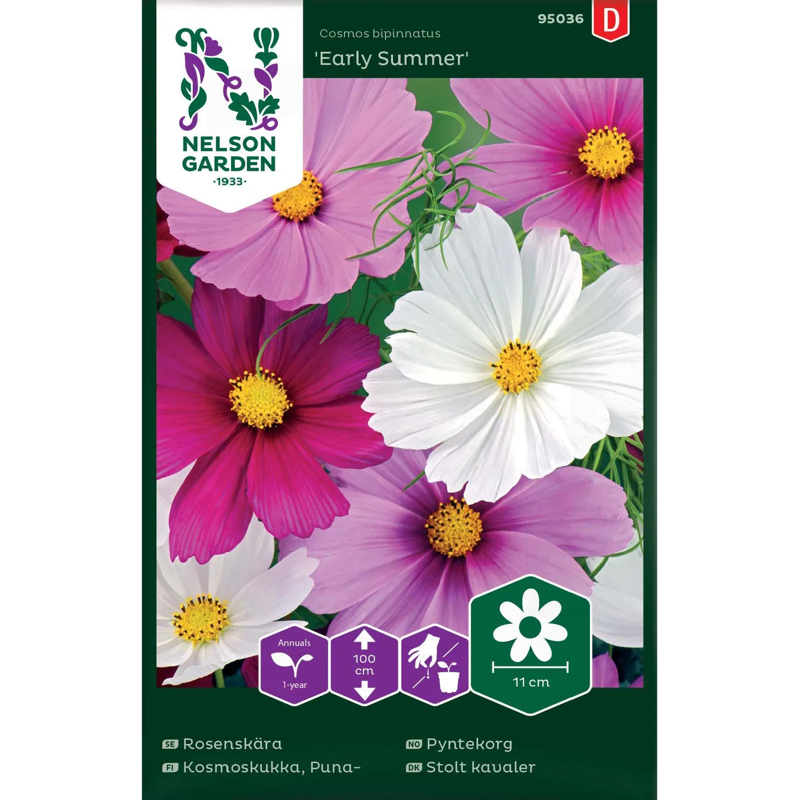 Cosmos bipinnatus 'Early Summer' Pyntekorg 'Early Summer'