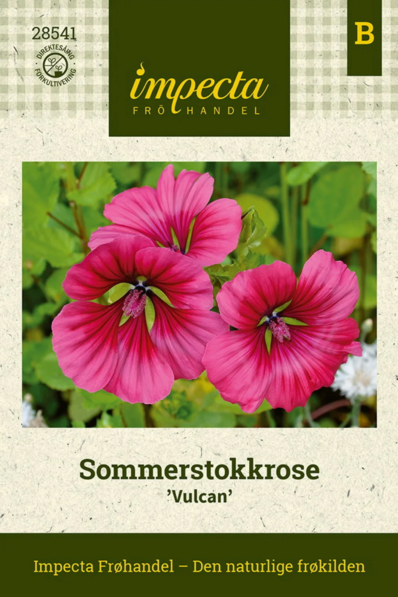 Malope trifida 'Vulcan' Sommerstokkrose 'Vulcan'