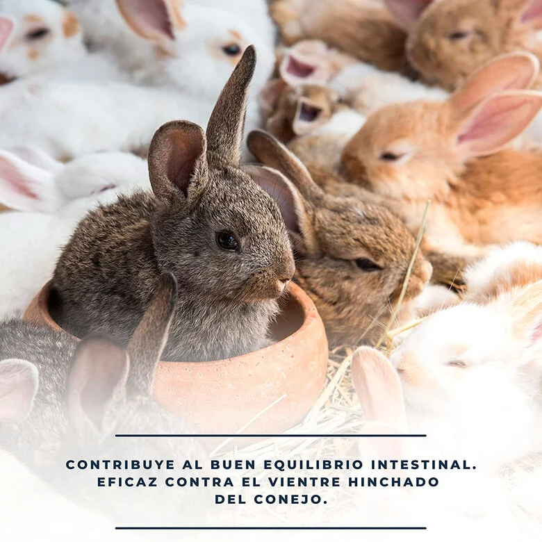 Finca Casarejo Cunidigest analgésico para barriga inchada para coelhos