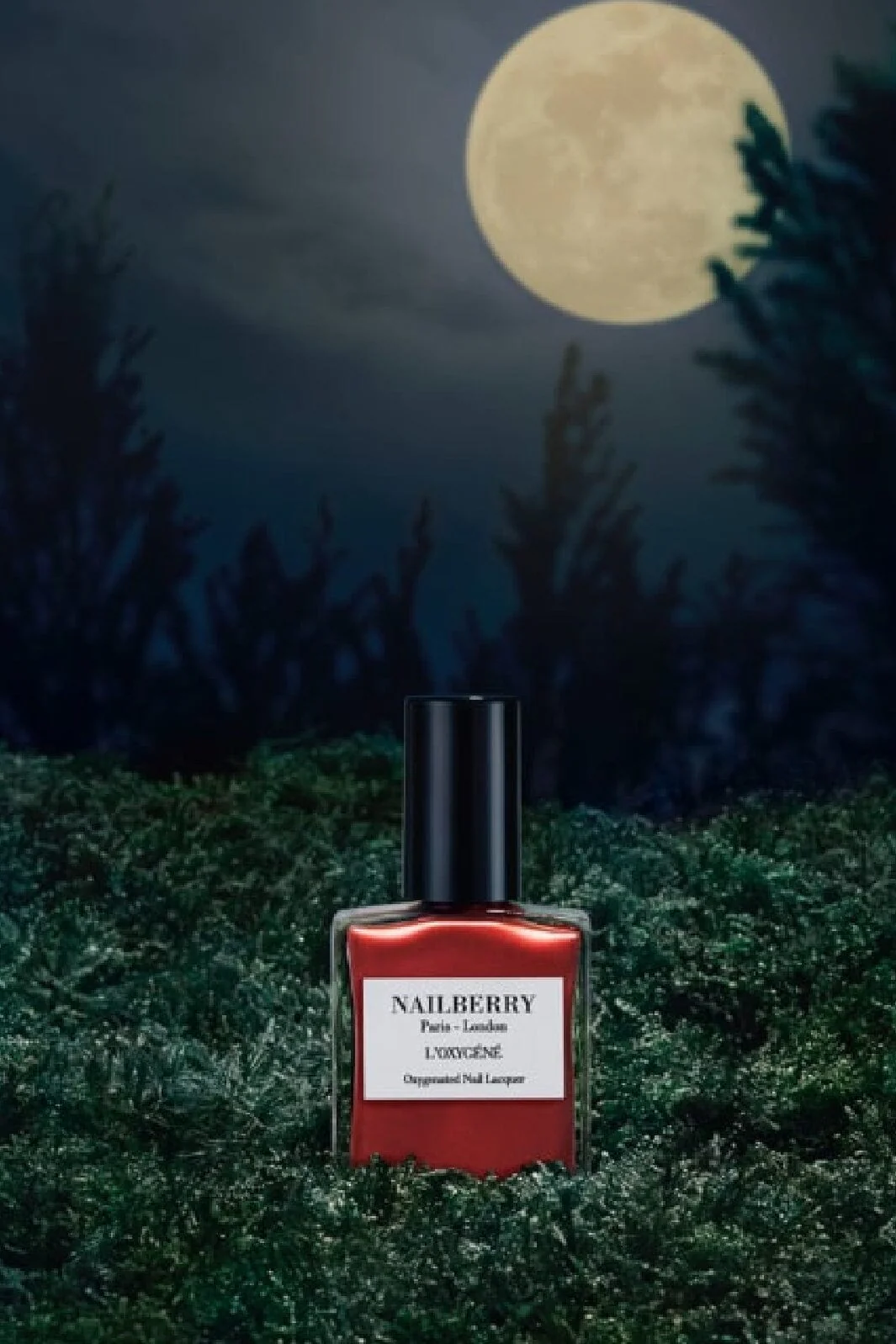 Nailberry NAILBERRY To The Moon and Back