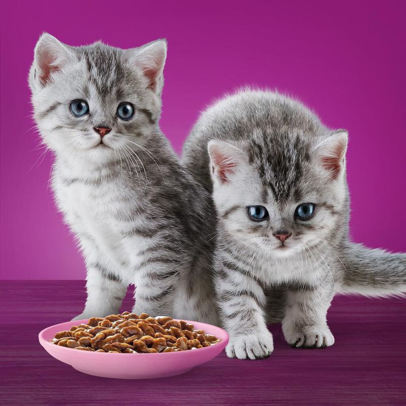Whiskas Junior 96 x 85 g