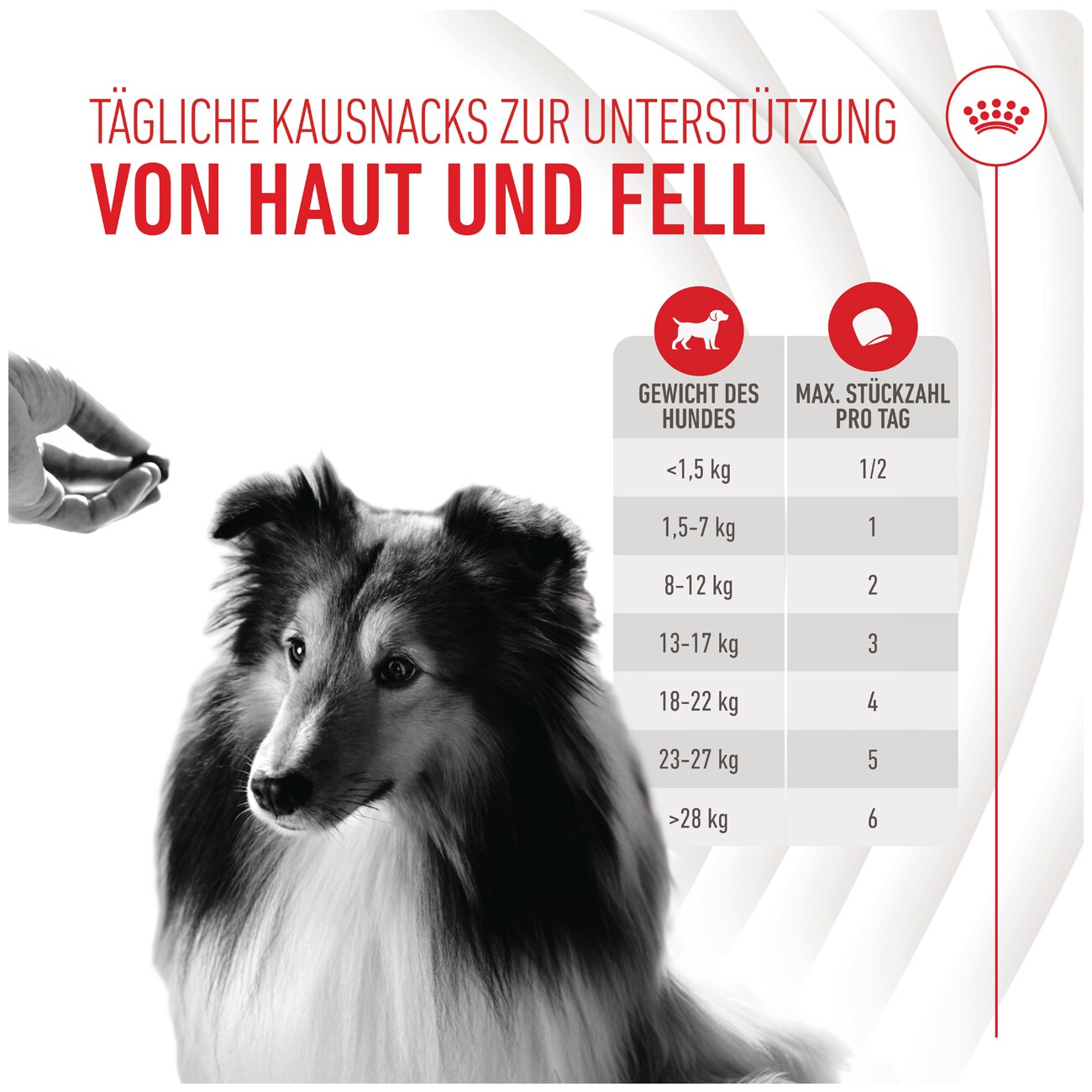 ROYAL CANIN Skin & Coat Adult Supplements Kausnacks 240 g