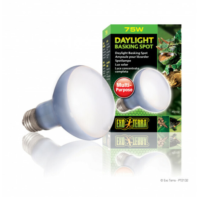 Ampoule Basking Spot Daylight lumière du jour Exo Terra