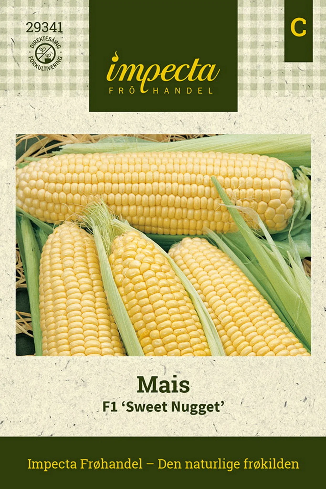 Zea mays F1 'Sweet Nugget' Mais F1 'Sweet Nugget'