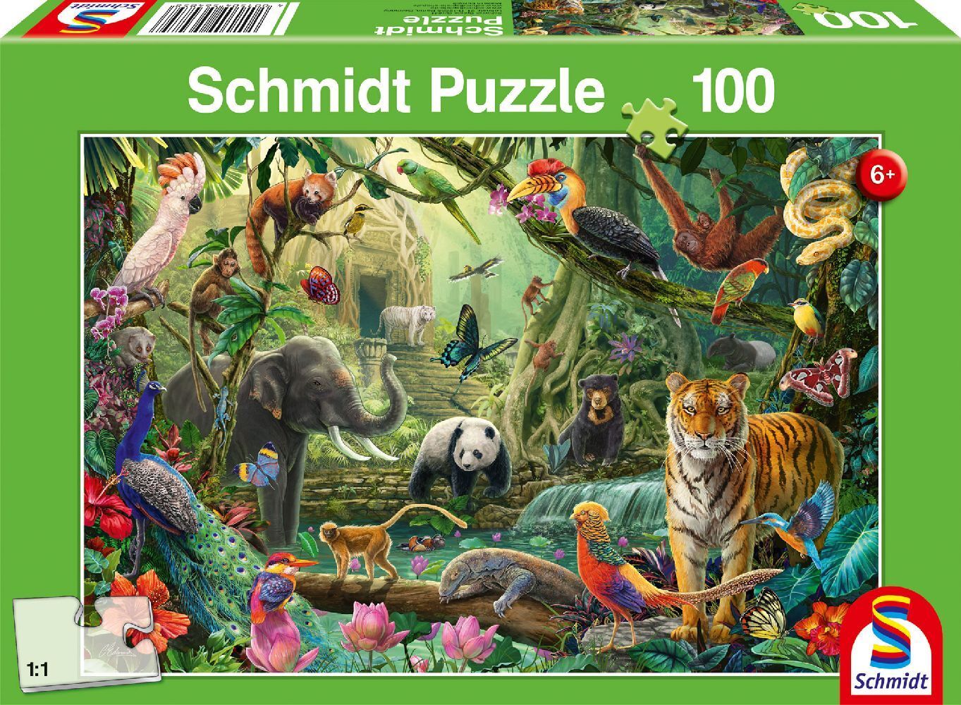 Bunte Tierwelt im Dschungel