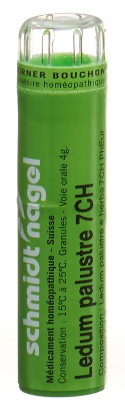 SCHMIDT-NAGEL Ledum palustre Gran 7 CH 4 g