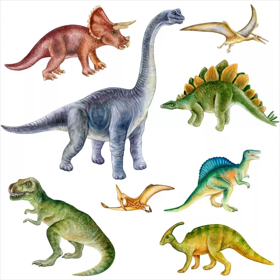 Nikima Wandtattoo 234 Wandtattoo Dinosaurier bunt