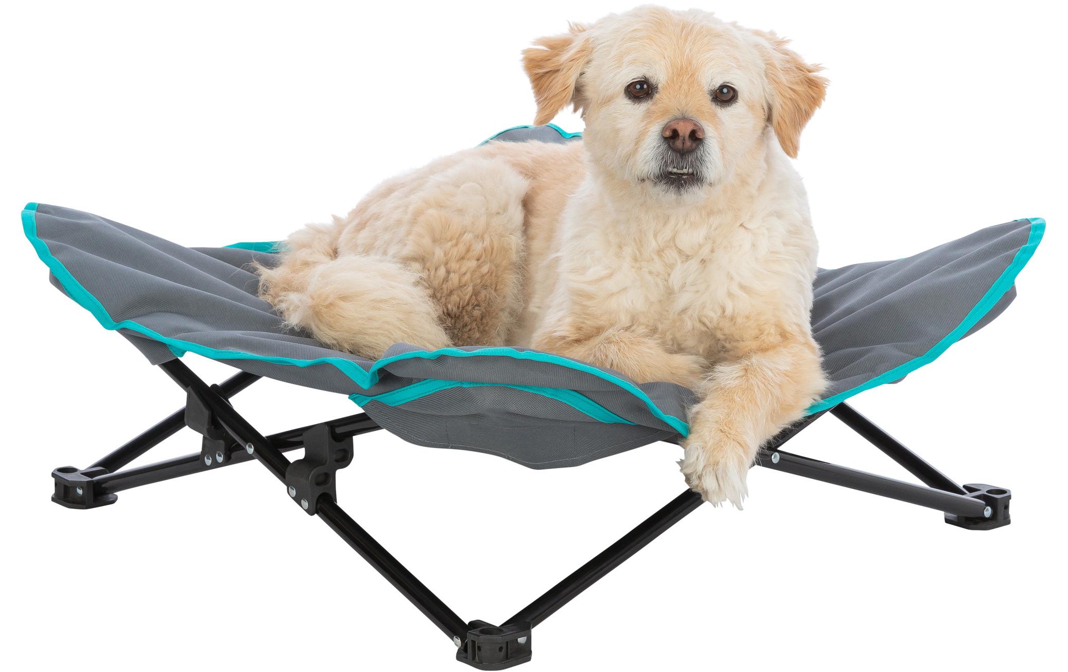 Camping-Bett, bis 15 kg, 69 x 20 cm, Dunkelgrau/PetrolBett für Hunde