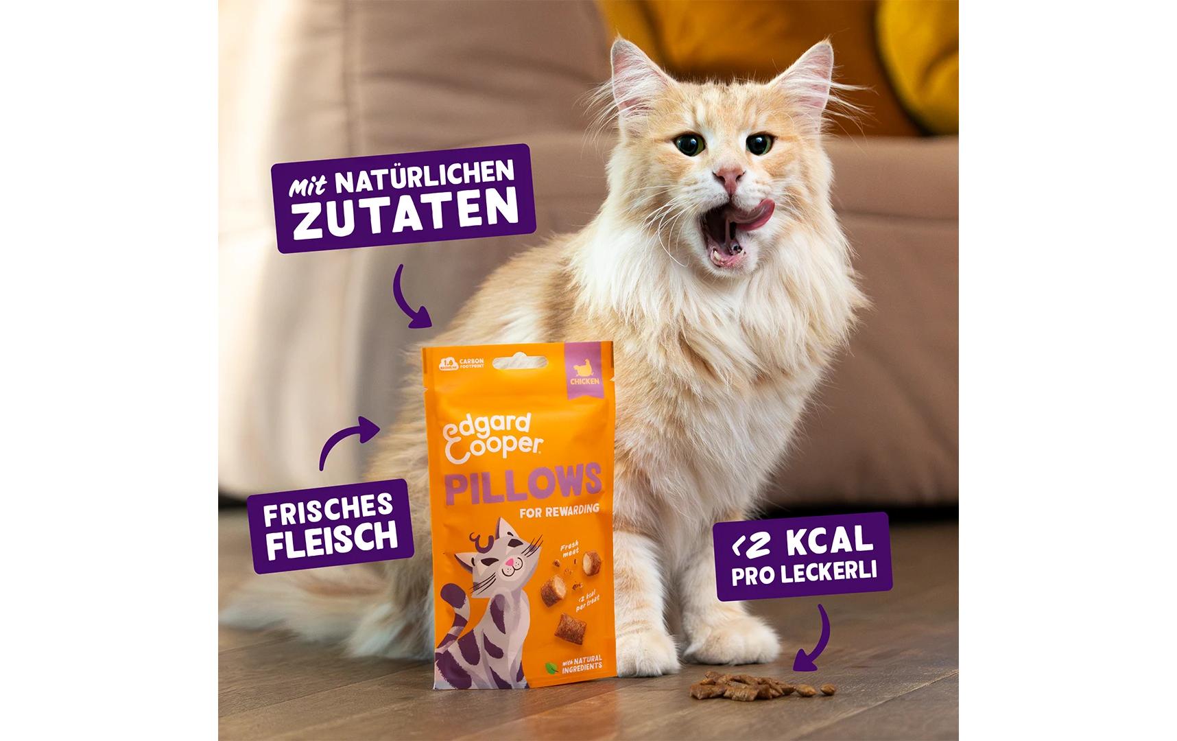 Katzen-Snack Pillows Huhn 60 gSnack für Katzen