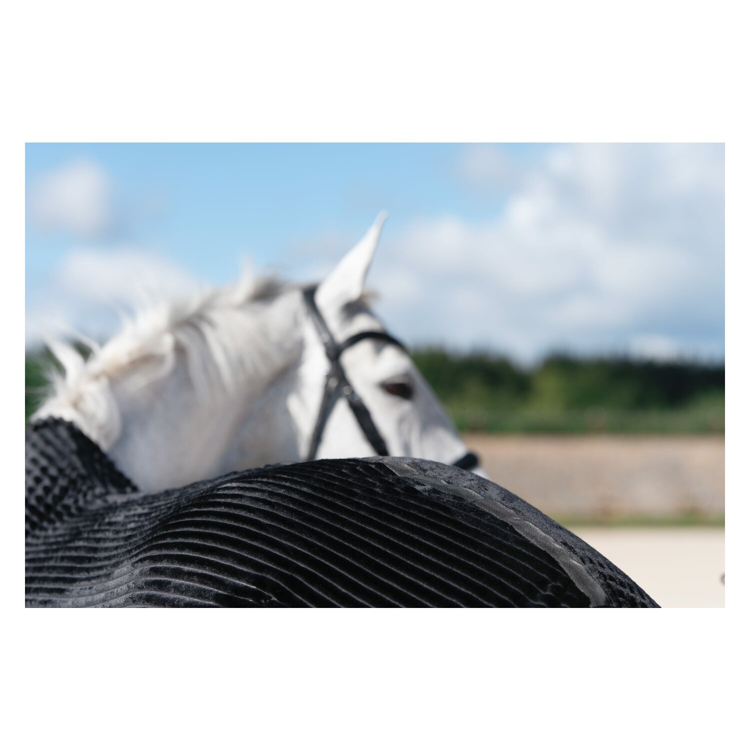 Cheval de Luxe Stalldecke Gateshead  - black
