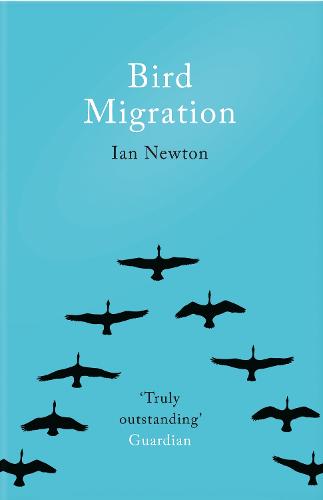 Bird Migration (Paperback)