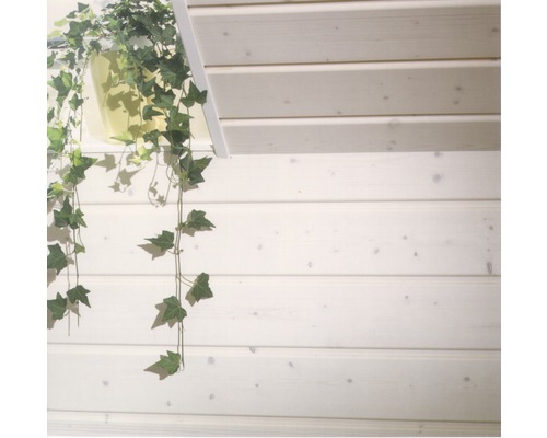 Konsta Softline profiel sparren 