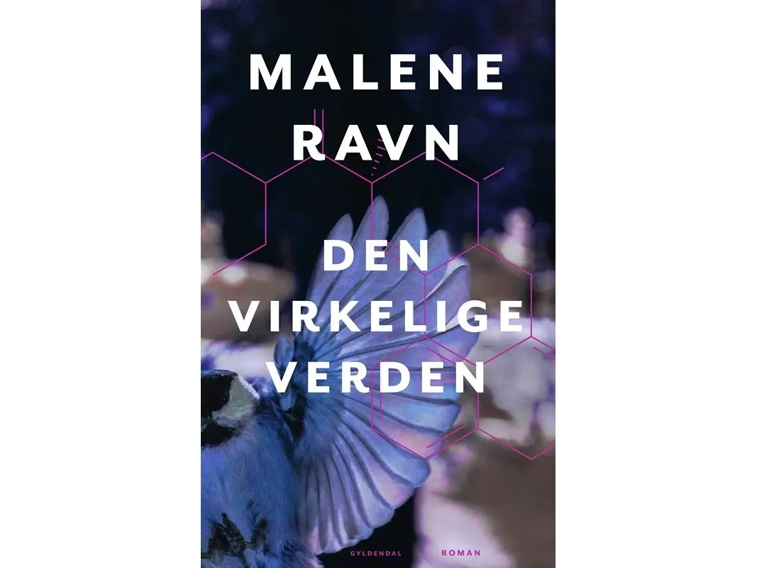 Den virkelige verden | Malene Ravn