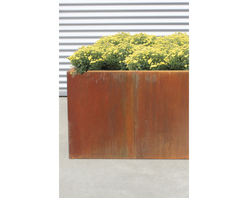 Klassieke verhoogde tuinbak palatino Urban 300 x 50 x 70 cm Cortenstaal