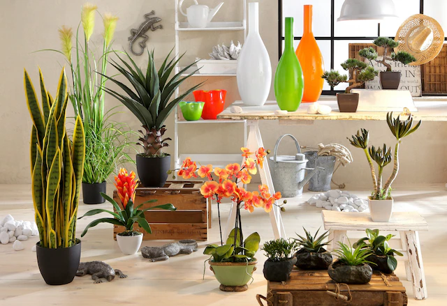 Home affaire Kunstpflanze »Sukkulenten« 4er Set