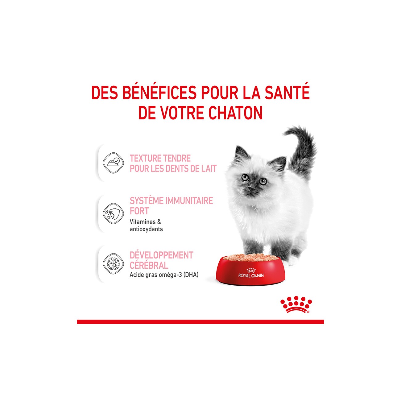ROYAL CANIN Kitten Mousse in Soße 12x85 g