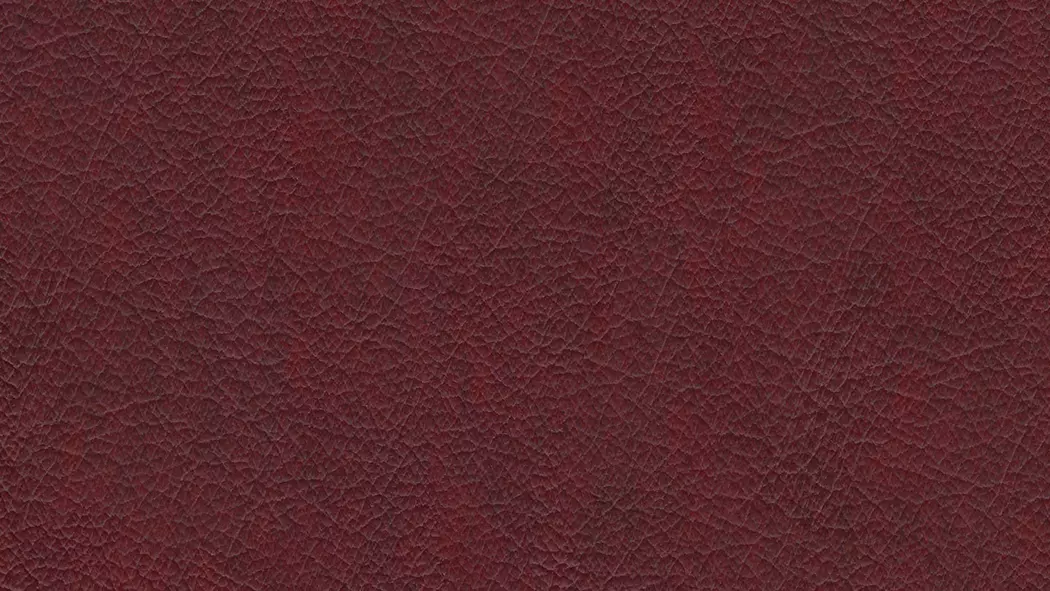 Sofa 24252 foscaari