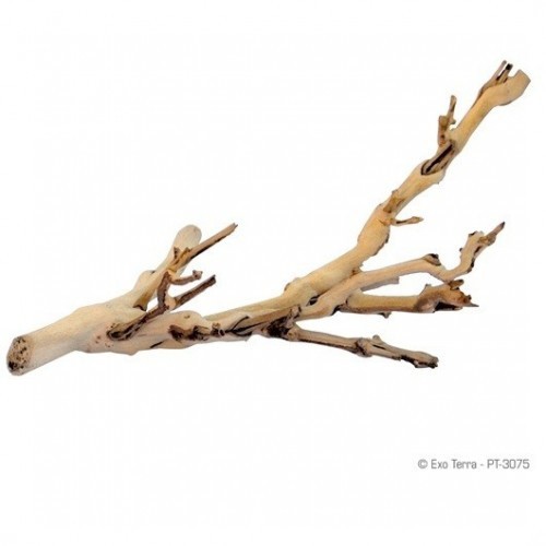 Pequenos galhos decorativos Exo-Terra