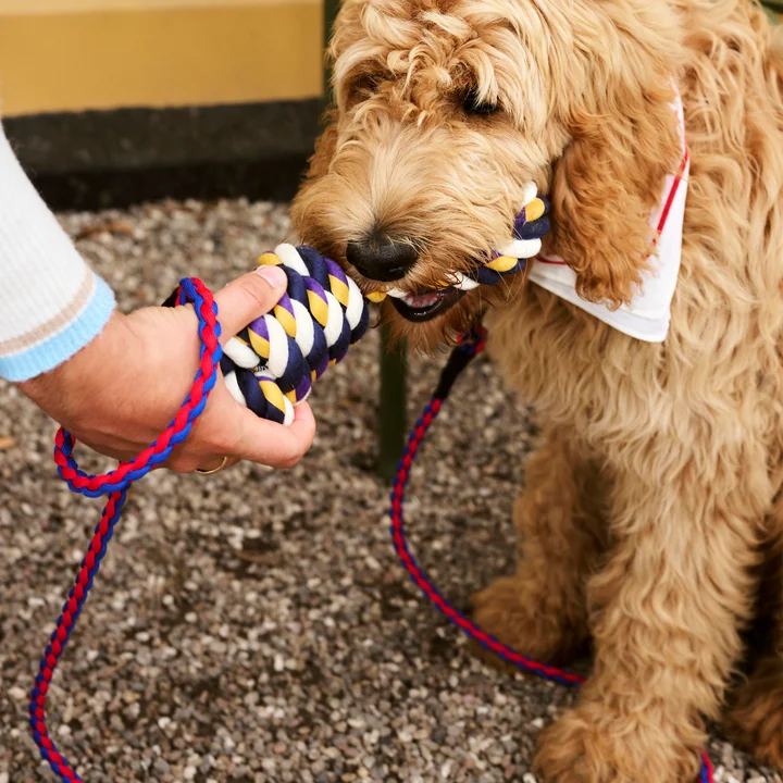HAY - Dogs Rope Spielzeug, blau / lila / ocker