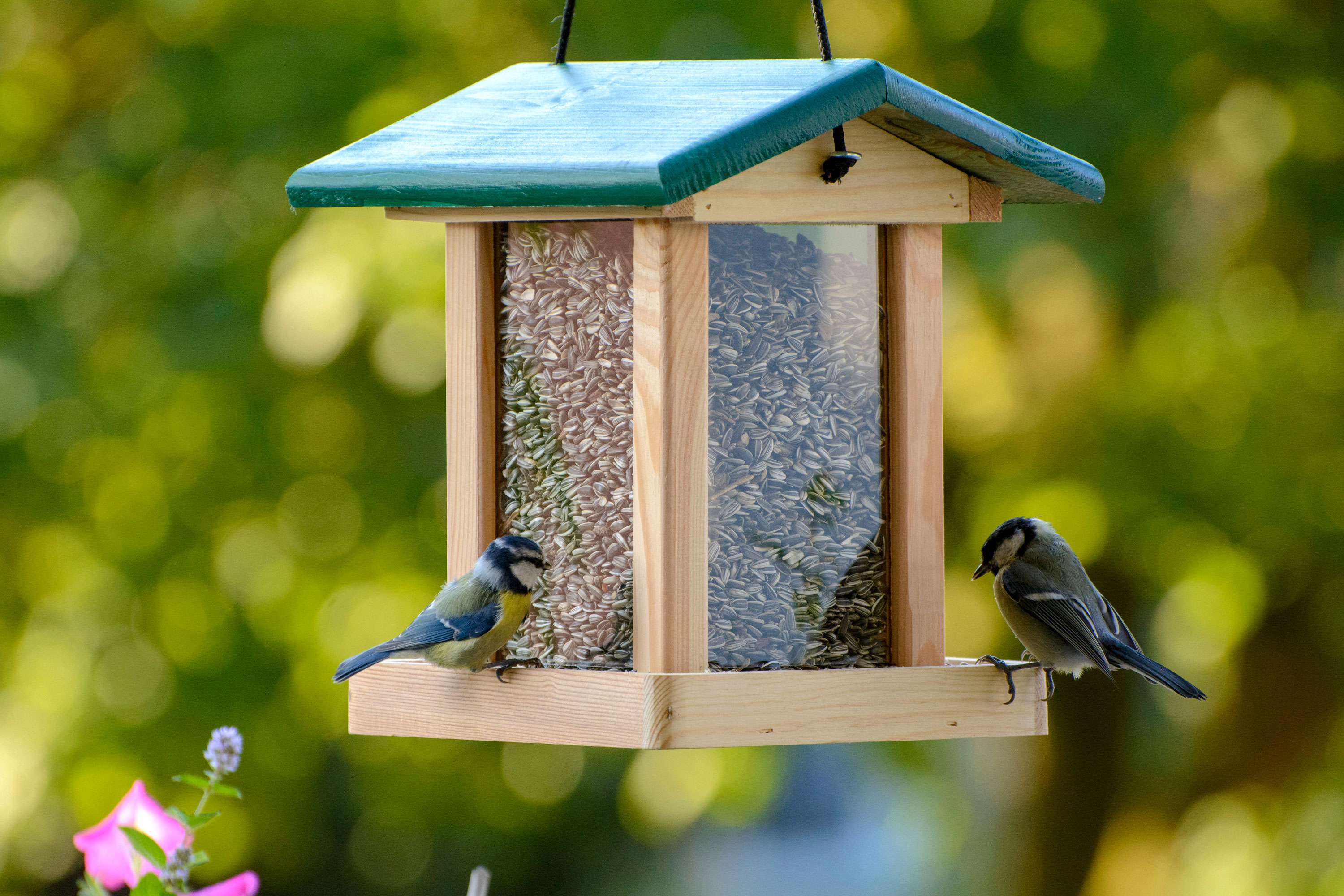 dobar Vogelfutterhaus - versch. Ausführungen