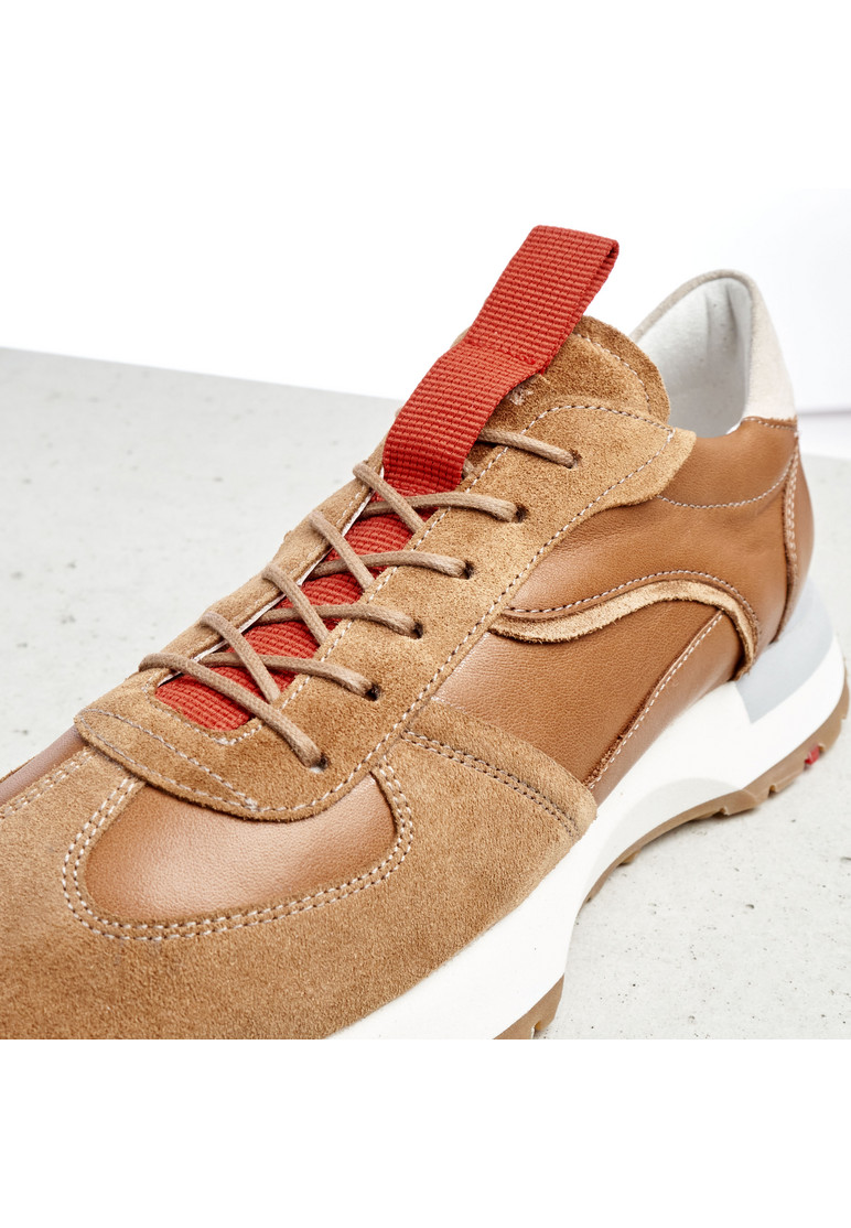 SNEAKER Braun