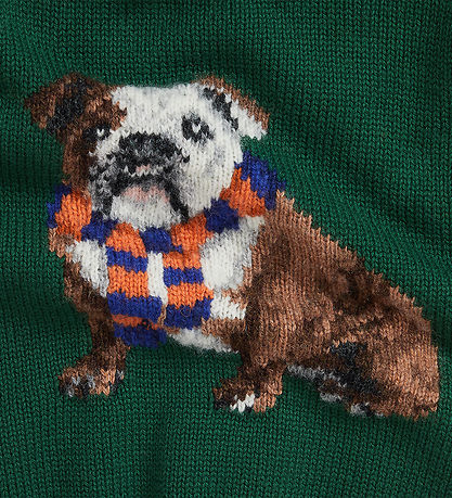 Polo Ralph Lauren Bluse - Strik -  Grøn m. Hund