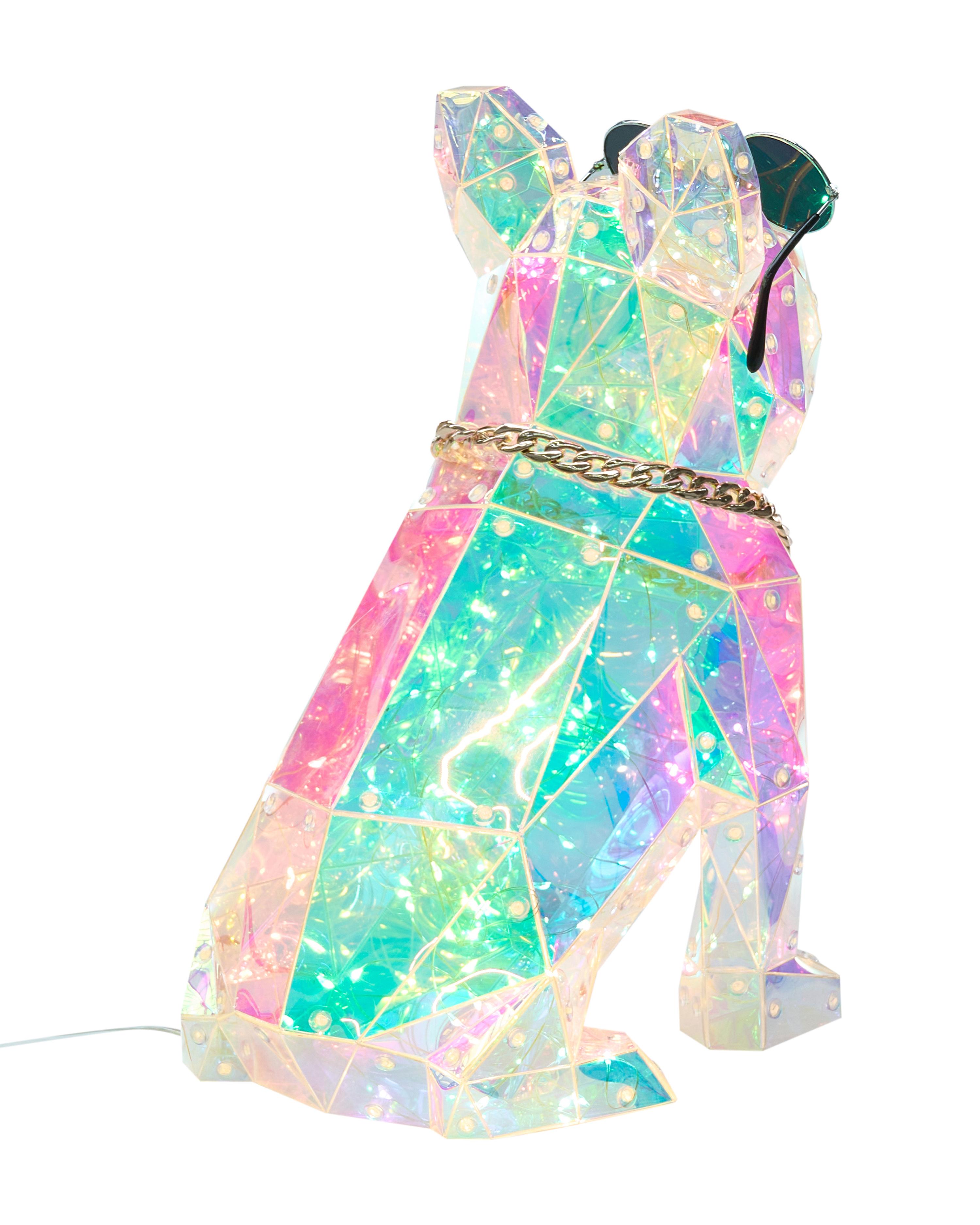 LED decoratie Hond JONKU Meerkleurig
