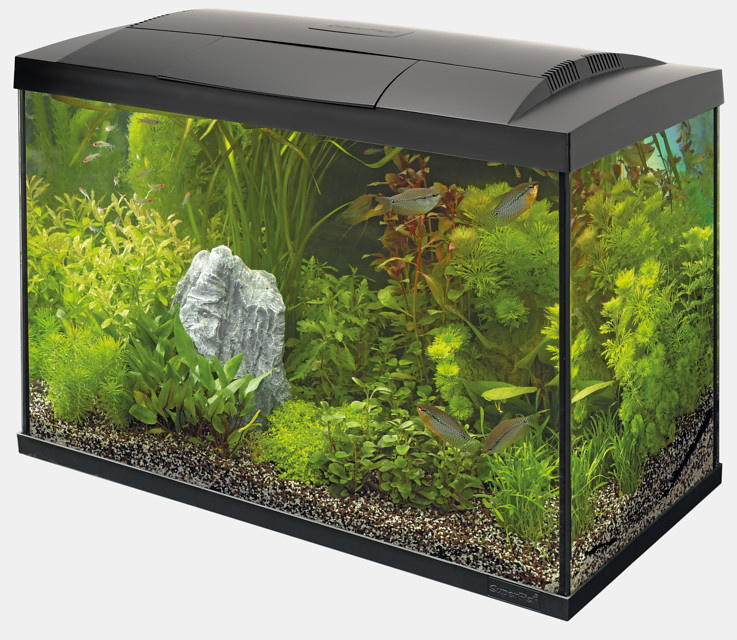 Superfish Start 70 Tropical Kit Zwart