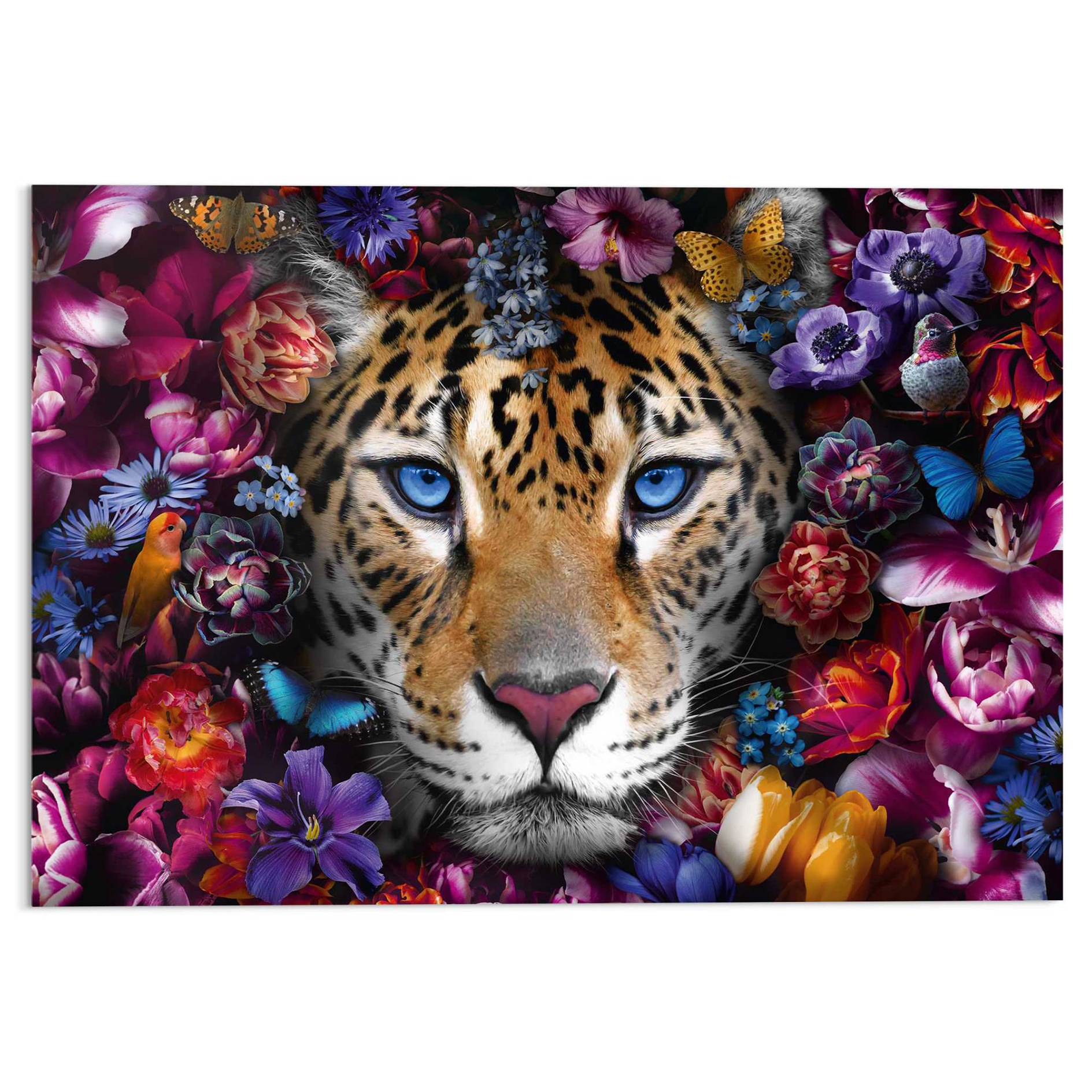 Deco Glass POWER CAT - 70x100 cm