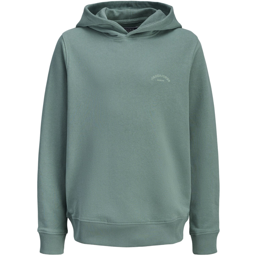 Køb Jack & Jones Junior Mineral Blue Jjcollege Logo Sweat Hætte Jnr