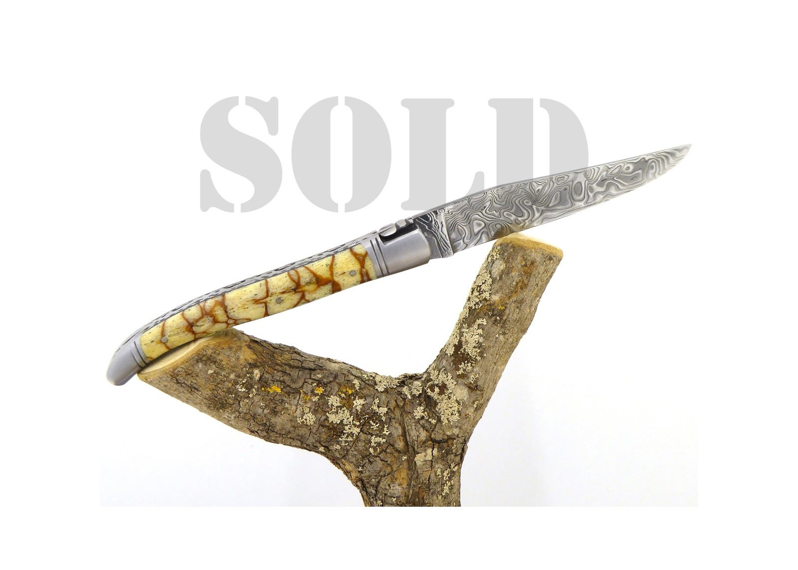 VENDU - Couteau Laguiole avec un manche en corail Fossile Tigré et une lame Damas
