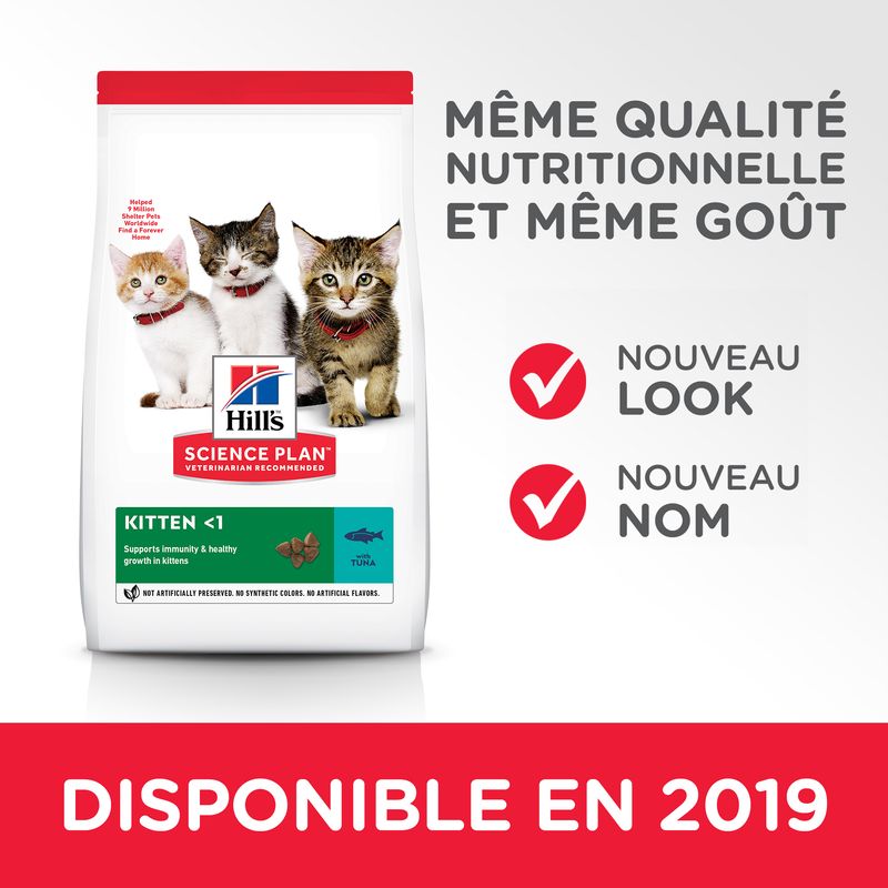 Hill's Science Plan Kitten Healthy Development pour chaton - bitiba.fr