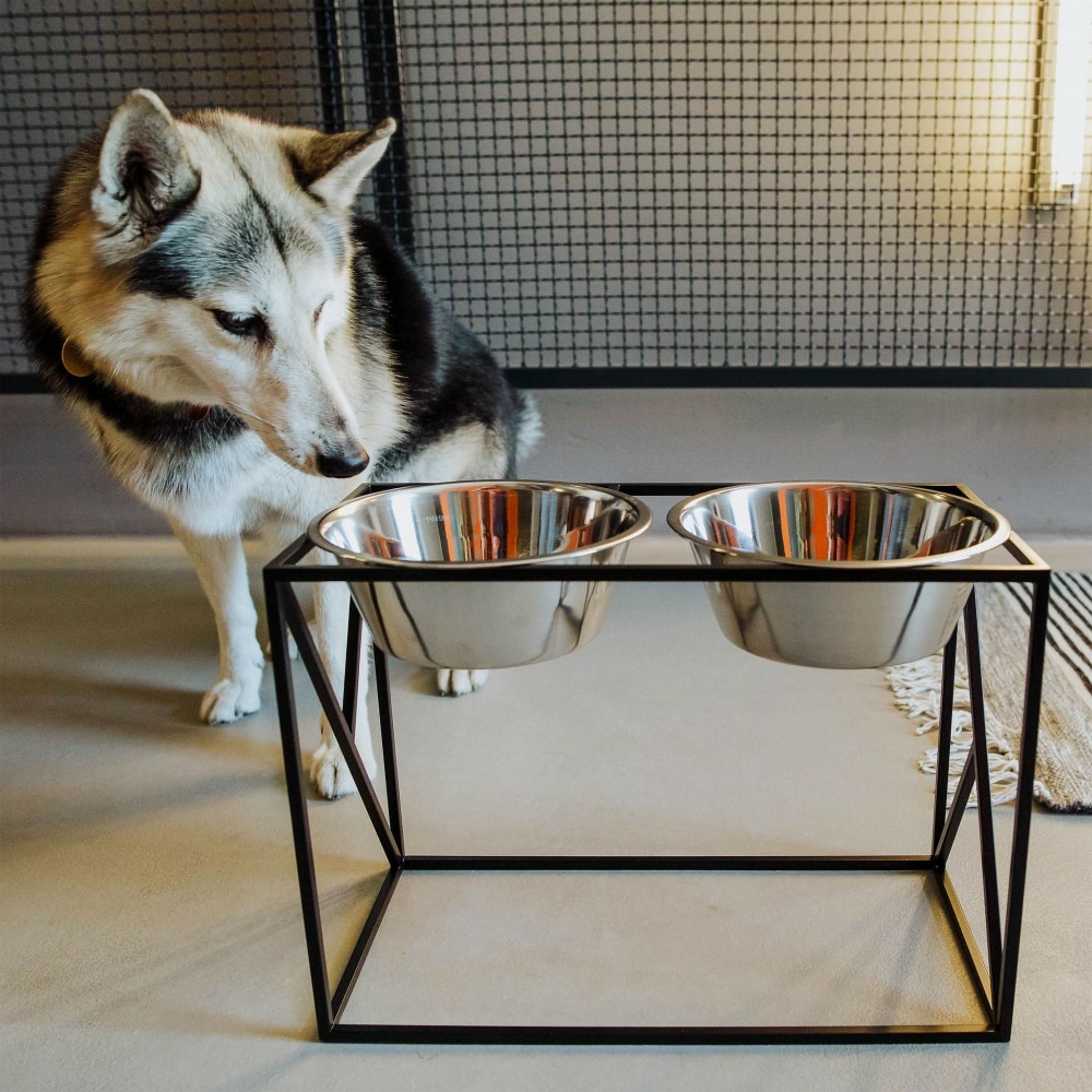 Yumi - set 2 gamelles surélevées grand chien, socle design noir, 21x42,5x30,5cm
