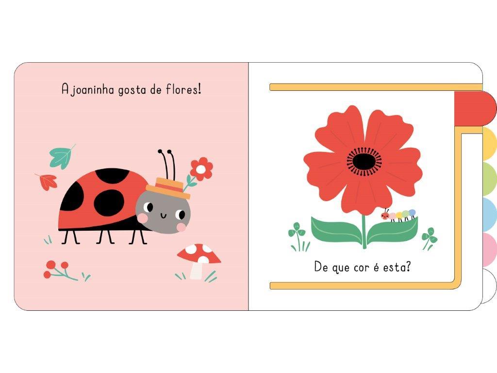 LIVRO O MEU LIVRO DE IMAGENS - CORES