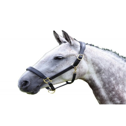Cabresto de couro preto Blenheim para cavalos
