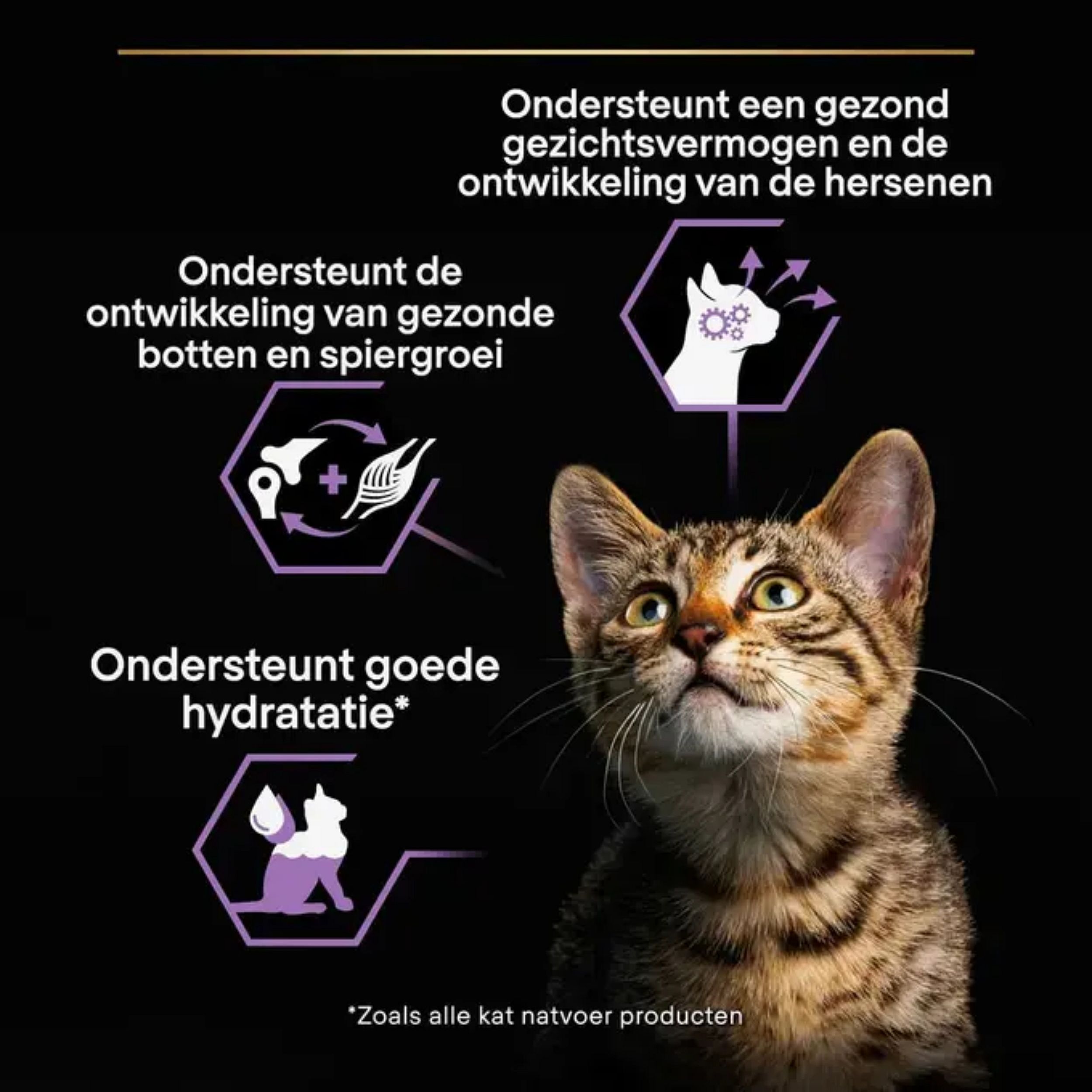 Purina Pro Plan Healthy Start Kitten | 10 x 85 gram maaltijdzakjes kalkoen | 15800.2