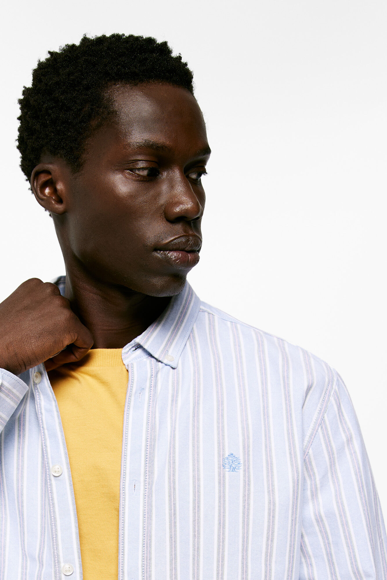 camisa polo oxford listrada