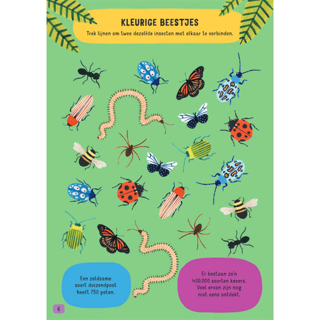 Uitgeverij fontaine het feestelijke feitjes doeboek