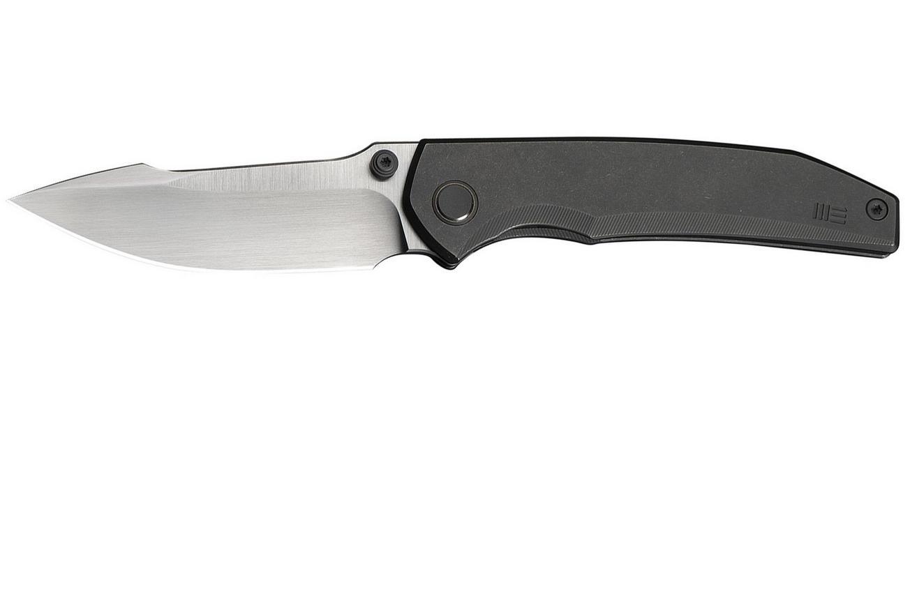 WE Knife Ryson WE24086-2 Hand Satin Böhler M390, Gray Titanium, zakmes, Raven The Pirate design