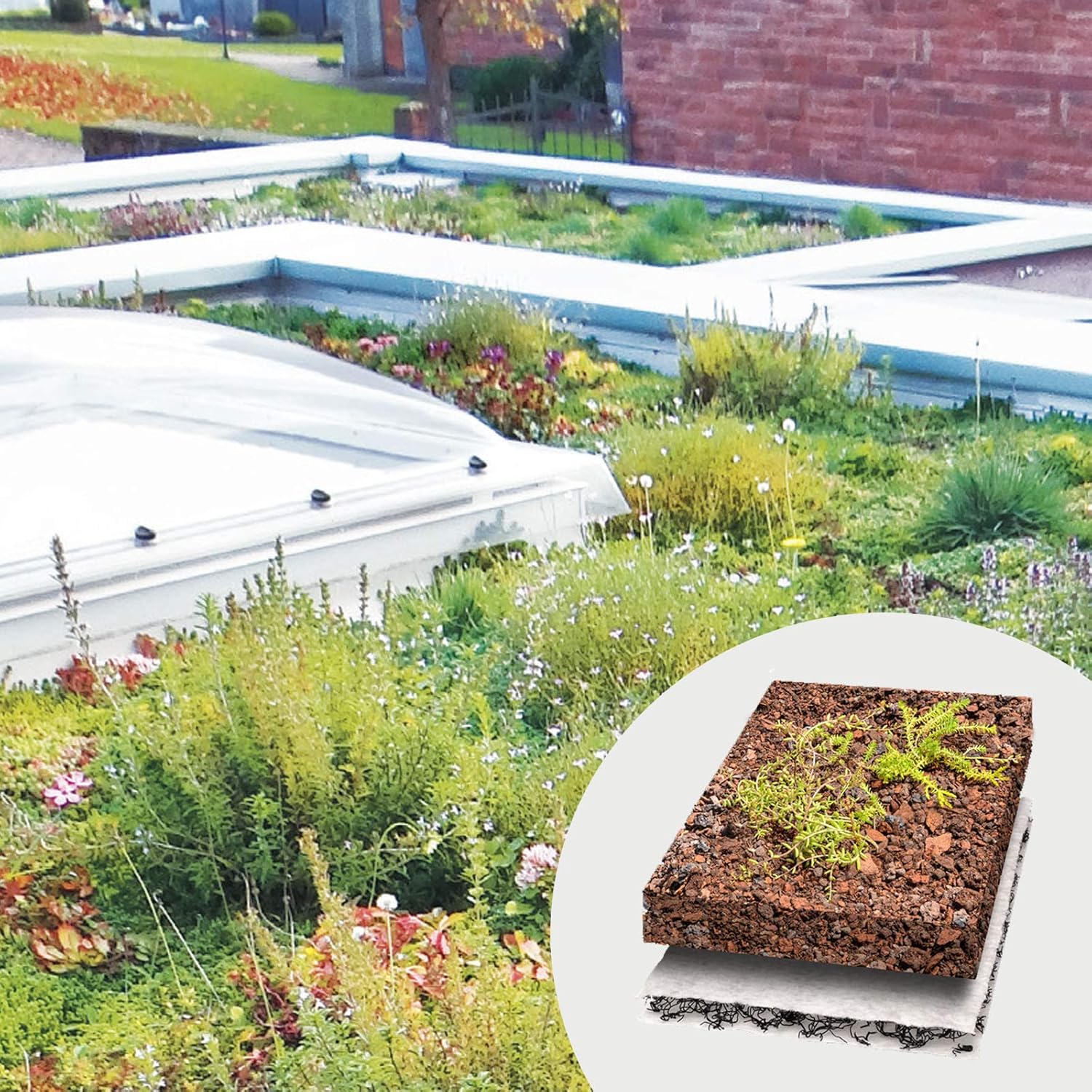 10m² Gründachpaket Dachbegrünung Gründach inkl. 80 Flachballenstauden + 500g Sprossen