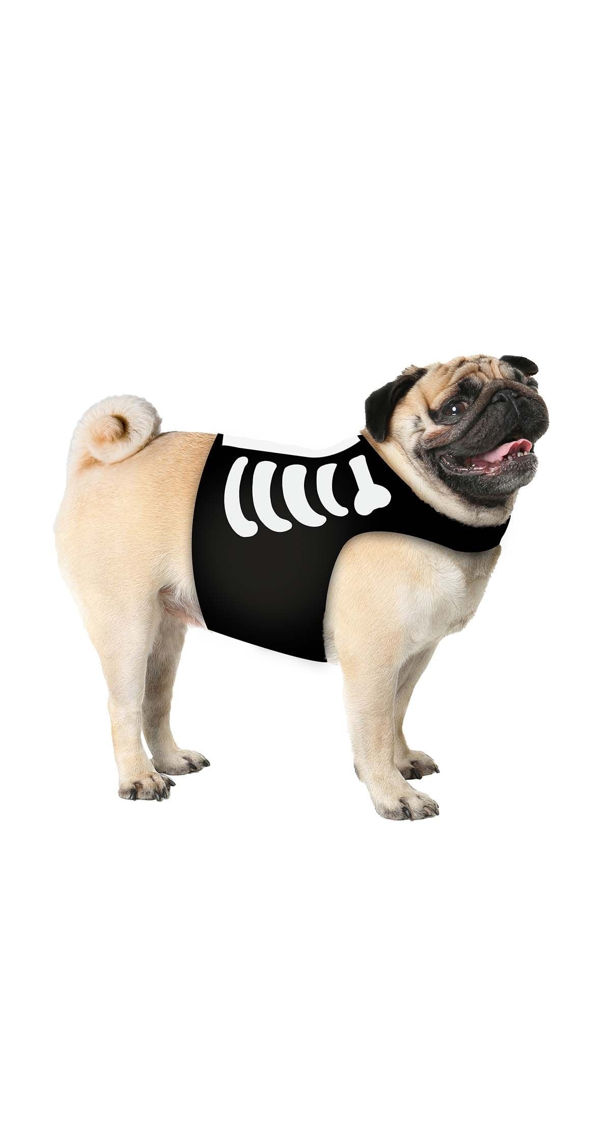 Halloween Dieren Kostuum Skelet Mascotte