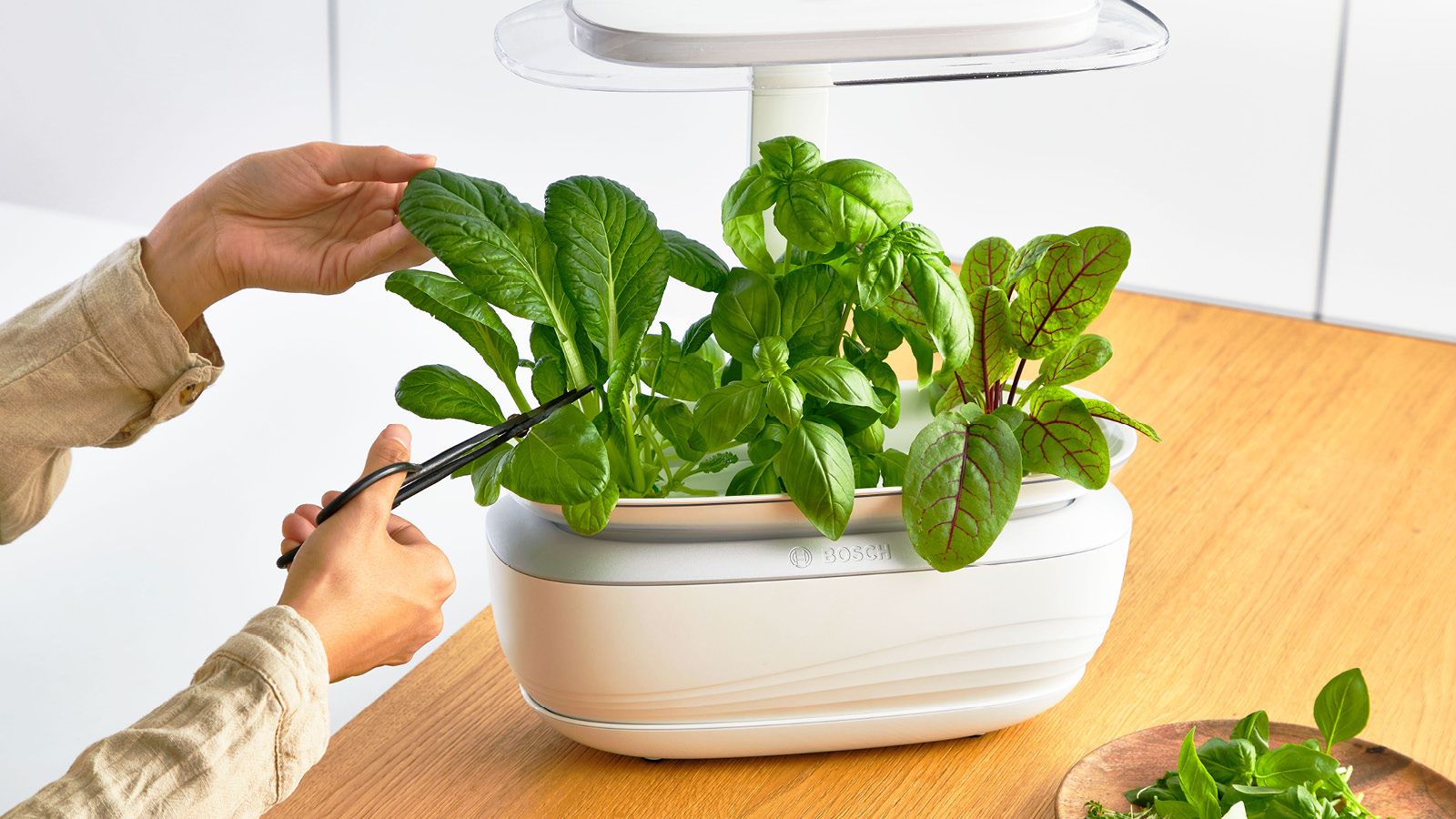 PRODUTO RECONDICIONADO # SmartGrow SmartGrow Life MSGP3L----B